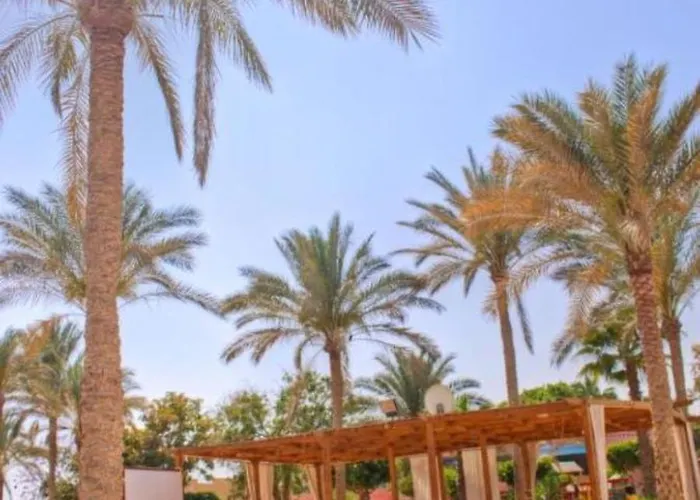 Palmera Families Only עיין סוחנה